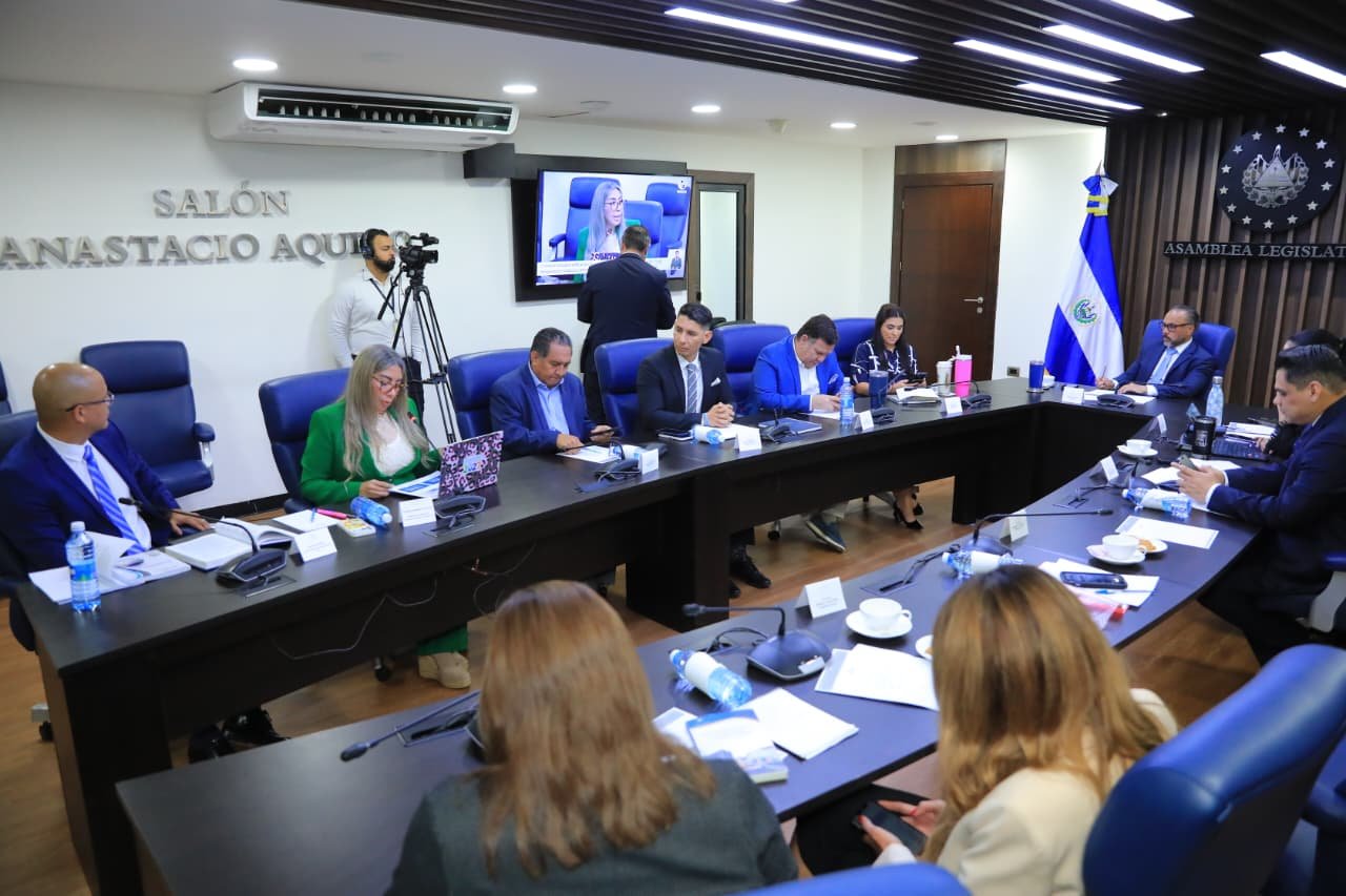 AVANZA ESTUDIO DE REFORMA CONSTITUCIONAL EN FAVOR DE LA DIÁSPORA
